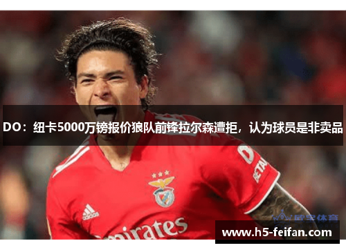 DO：纽卡5000万镑报价狼队前锋拉尔森遭拒，认为球员是非卖品